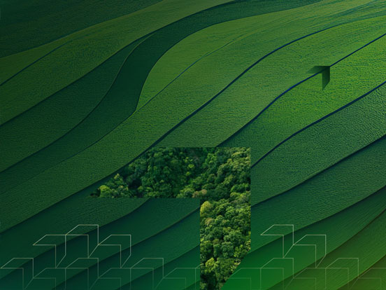 Scaled agile delivery of enterprise solution with 25% schedule compression